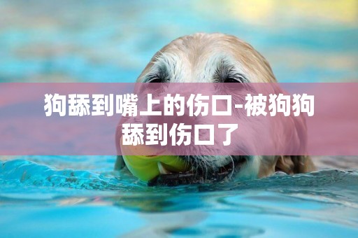 狗舔到嘴上的傷口-被狗狗舔到傷口了