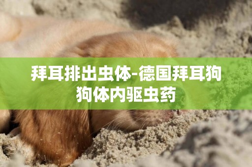 拜耳排出蟲體-德國拜耳狗狗體內驅蟲藥