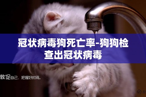 冠狀病毒狗死亡率-狗狗檢查出冠狀病毒