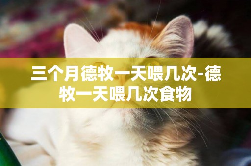 三個月德牧一天喂幾次-德牧一天喂幾次食物