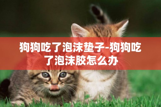 狗狗吃了泡沫墊子-狗狗吃了泡沫膠怎么辦