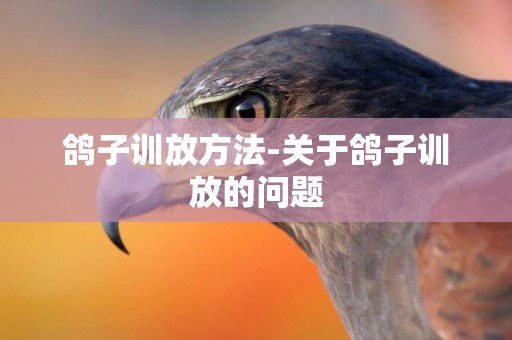 鴿子訓放方法-關于鴿子訓放的問題