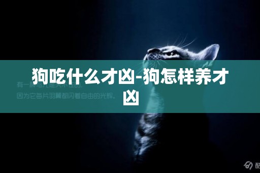 狗吃什么才兇-狗怎樣養才兇