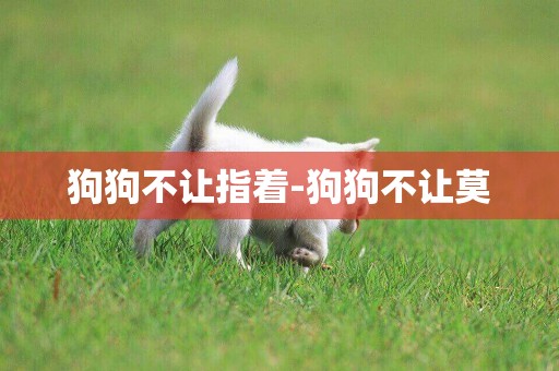 狗狗不讓指著-狗狗不讓莫