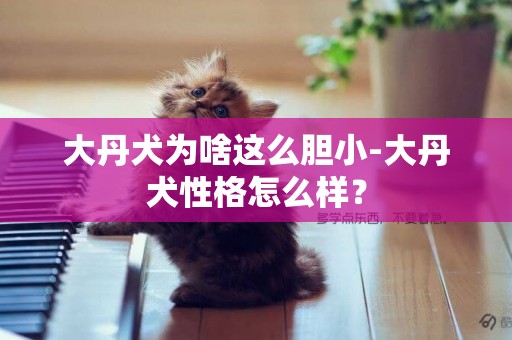 大丹犬為啥這么膽小-大丹犬性格怎么樣？