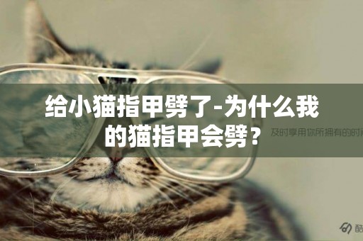 給小貓指甲劈了-為什么我的貓指甲會劈？