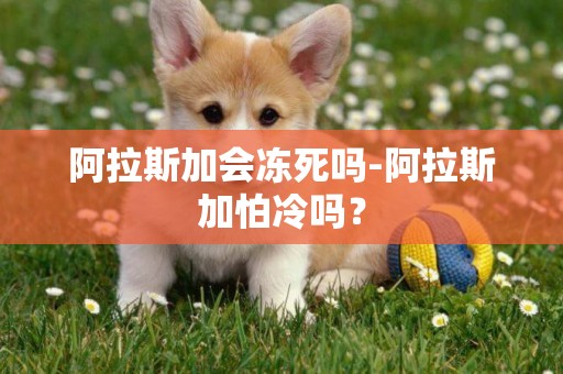 阿拉斯加會凍死嗎-阿拉斯加怕冷嗎？