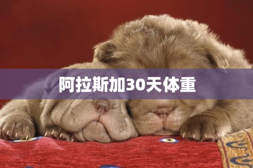 阿拉斯加30天體重