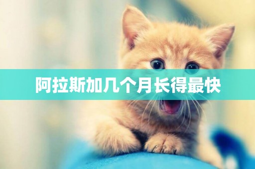 阿拉斯加幾個月長得最快