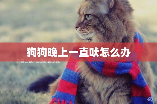 狗狗晚上一直吠怎么辦