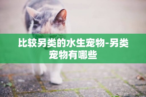比較另類的水生寵物-另類寵物有哪些