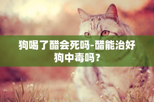狗喝了醋會死嗎-醋能治好狗中毒嗎？