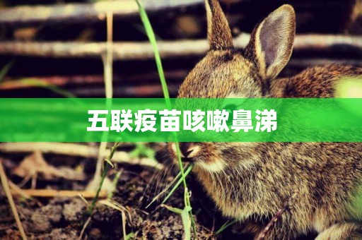五聯疫苗咳嗽鼻涕