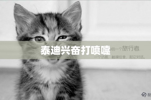 泰迪興奮打噴嚏
