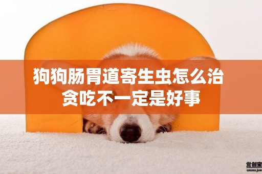 狗狗腸胃道寄生蟲怎么治 貪吃不一定是好事