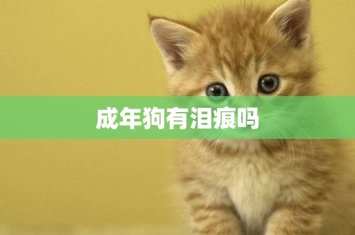 成年狗有淚痕嗎