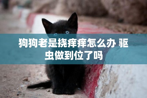 狗狗老是撓癢癢怎么辦 驅蟲做到位了嗎
