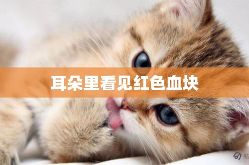 耳朵里看見紅色血塊