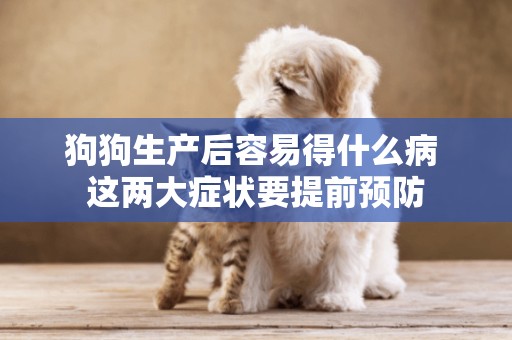狗狗生產后容易得什么病 這兩大癥狀要提前預防