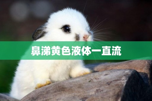 鼻涕黃色液體一直流