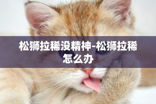 松獅拉稀沒精神-松獅拉稀怎么辦