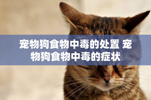 寵物狗食物中毒的處置 寵物狗食物中毒的癥狀