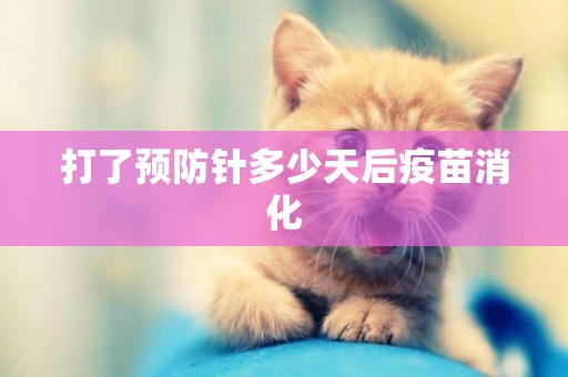 打了預防針多少天后疫苗消化