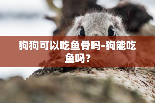 狗狗可以吃魚骨嗎-狗能吃魚嗎？