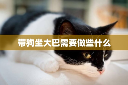 帶狗坐大巴需要做些什么