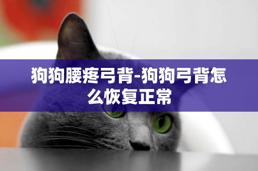 狗狗腰疼弓背-狗狗弓背怎么恢復正常