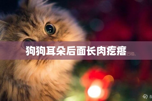 狗狗耳朵后面長肉疙瘩