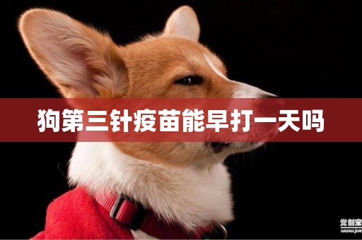 狗第三針疫苗能早打一天嗎