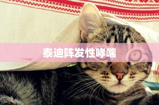 泰迪陣發性哮喘