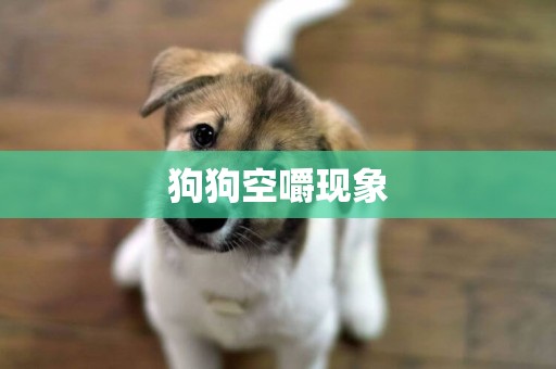 狗狗空嚼現象