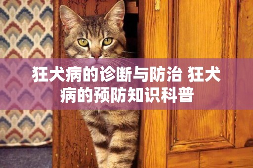 狂犬病的診斷與防治 狂犬病的預防知識科普