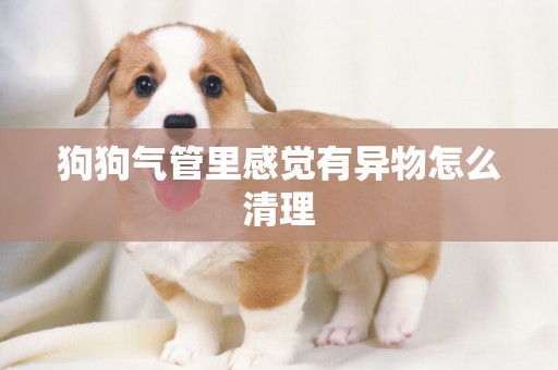 狗狗氣管里感覺有異物怎么清理