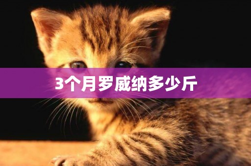 3個月羅威納多少斤