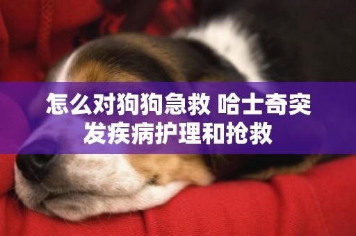 怎么對狗狗急救 哈士奇突發疾病護理和搶救