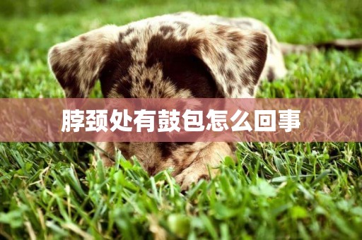 脖頸處有鼓包怎么回事
