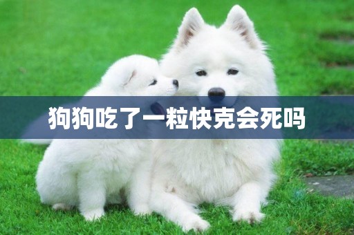 狗狗吃了一粒快克會死嗎