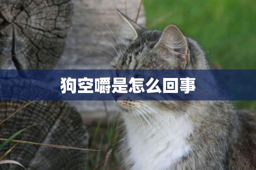 狗空嚼是怎么回事