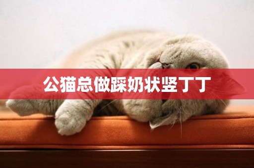 公貓總做踩奶狀豎丁丁