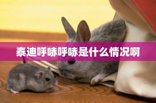 泰迪呼哧呼哧是什么情況啊