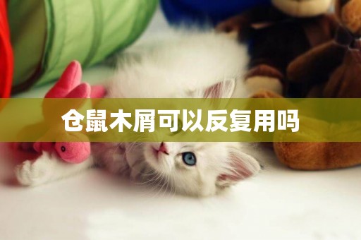 倉鼠木屑可以反復用嗎