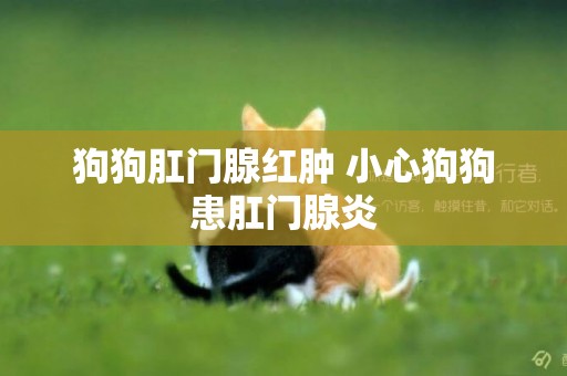 狗狗肛門腺紅腫 小心狗狗患肛門腺炎