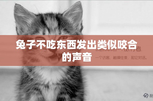 兔子不吃東西發出類似咬合的聲音