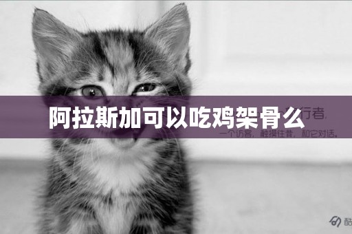 阿拉斯加可以吃雞架骨么