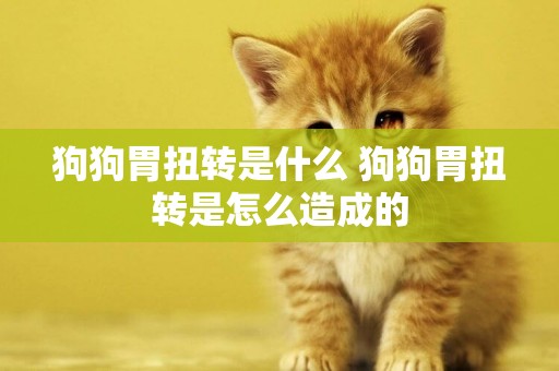狗狗胃扭轉是什么 狗狗胃扭轉是怎么造成的