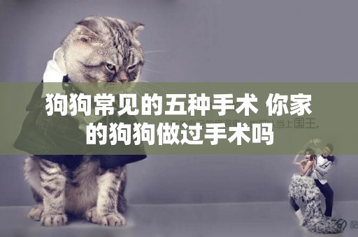 狗狗常見的五種手術 你家的狗狗做過手術嗎 狗狗常見的五種手術 你家的狗狗做過手術嗎