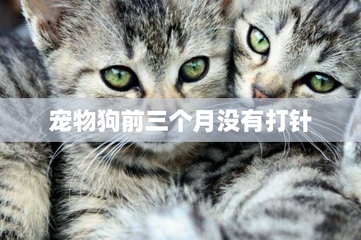 寵物狗前三個月沒有打針